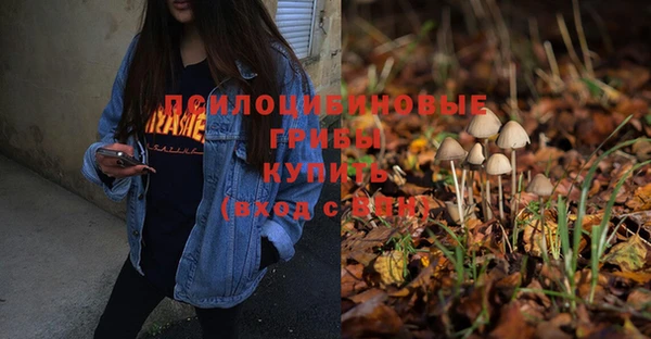 круглые Богданович