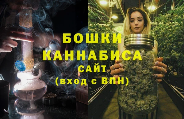стаф Арсеньев