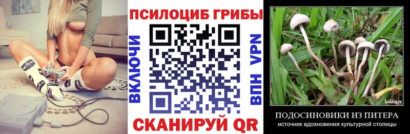 Псилоцибиновые грибы прущие грибы  где купить наркоту  Семилуки 