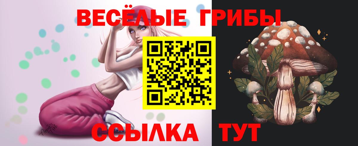 Псилоцибиновые грибы мухоморы  Вход с VPN  Семилуки  Псилоцибиновые грибы GOLDEN TEACHER 